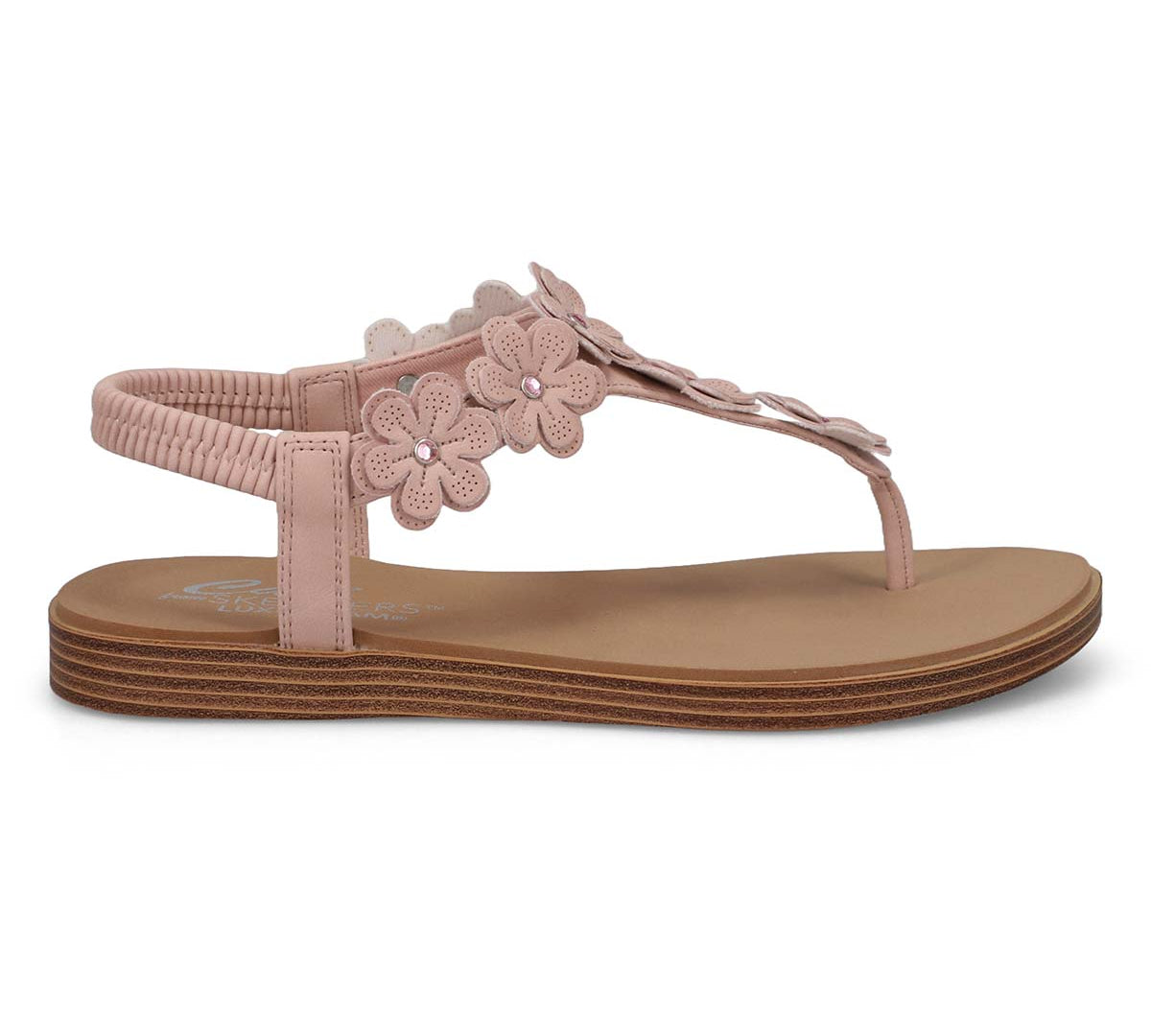 120170 - SUMMER COVE - BEACH BLOOM