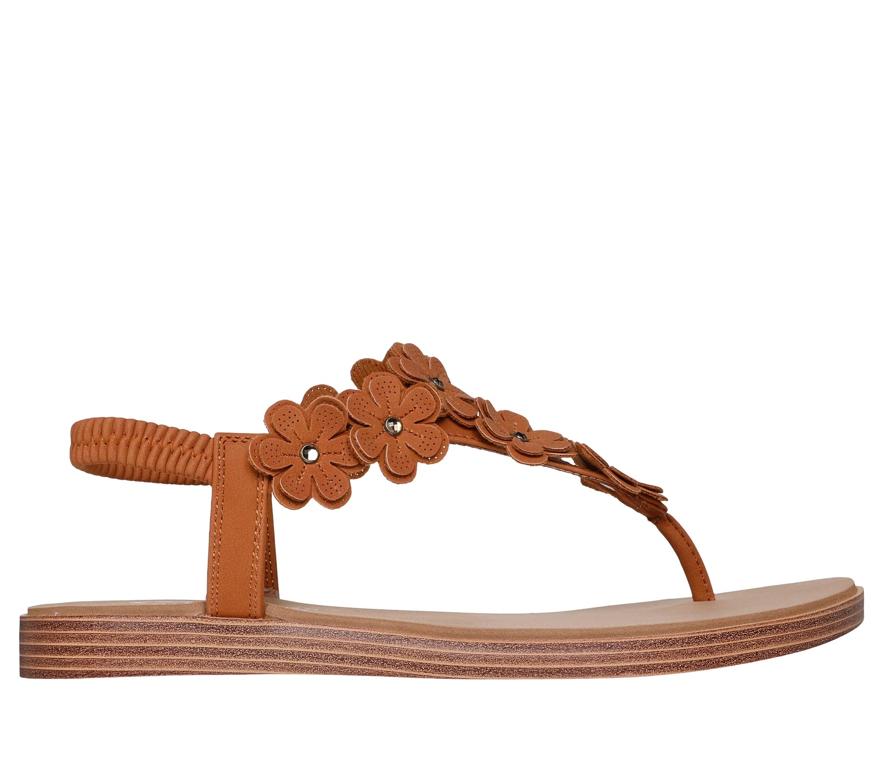 120170 - SUMMER COVE - BEACH BLOOM