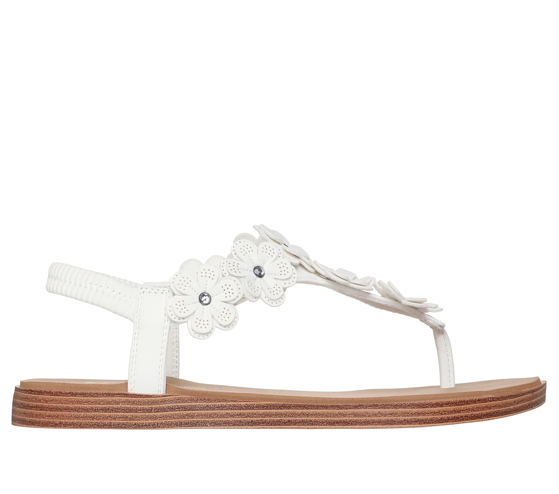 120170 - SUMMER COVE - BEACH BLOOM